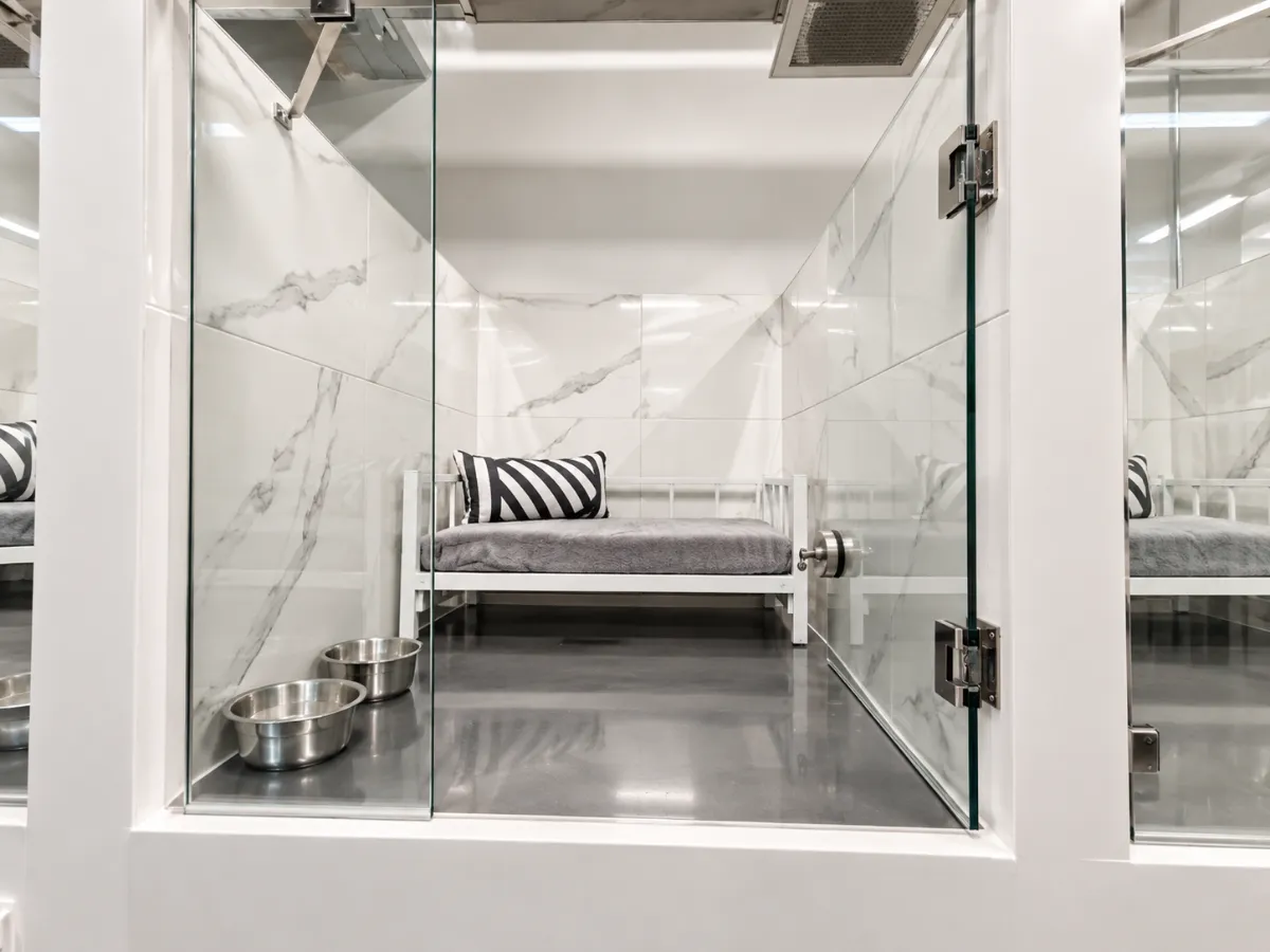 Glass-front white dog suites with bedding at Sam’s Lodge