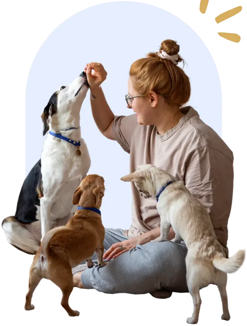 Propriétaire assise par terre avec trois chiens, dont un qui prend une gâterie, chez Doggieville MTL à Montréal