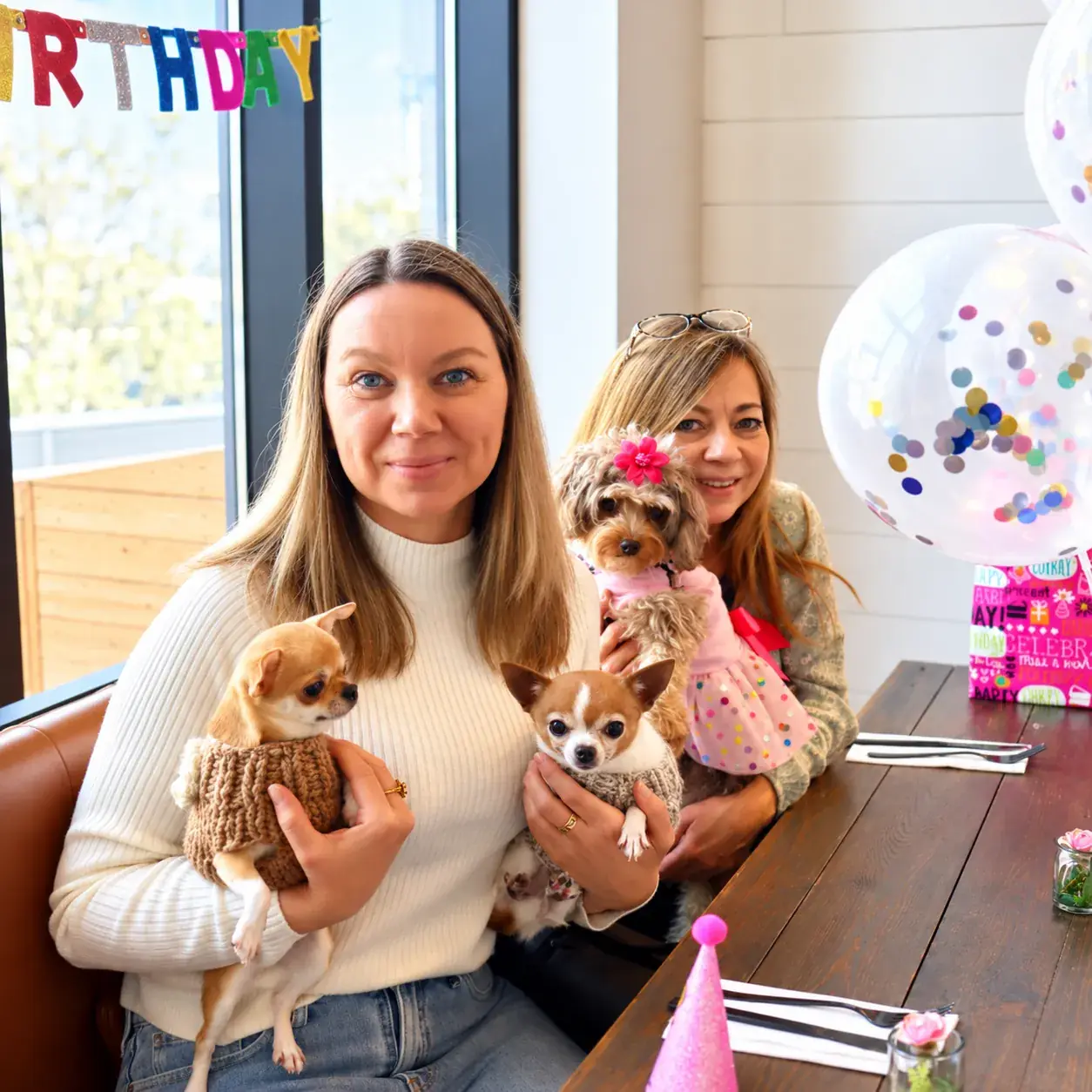 Amies qui fêtent l’anniversaire d’un chien avec des chihuahuas et un caniche croisé, ballons et bannière, au Ruby Café MTL