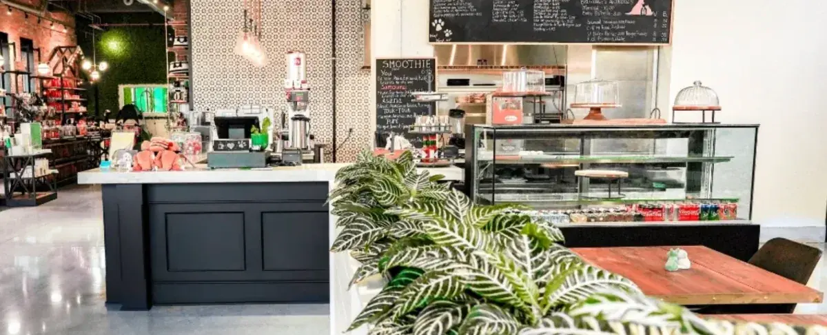 Counter and pastry display at Ruby Café MTL, the dog café at Doggieville MTL in Montreal