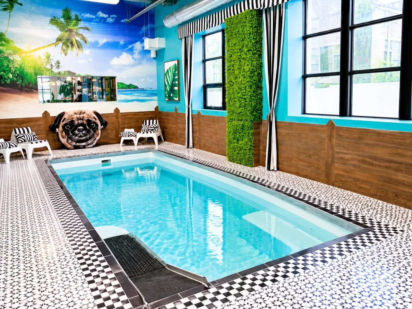 Private indoor dog pool at Yoda’s Splash, Doggieville MTL, Montreal