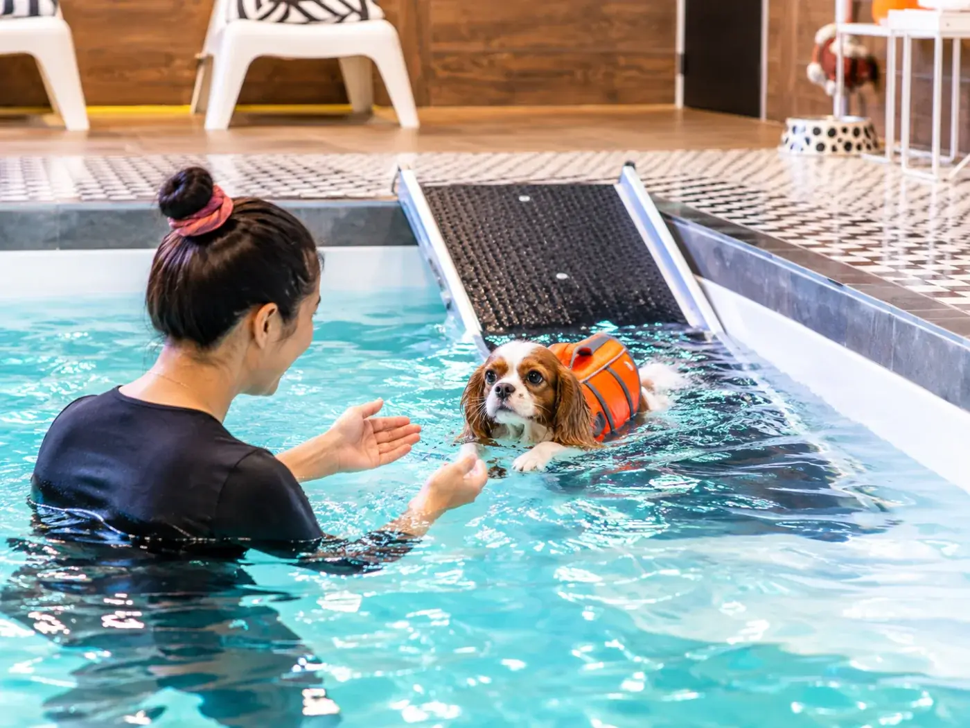 Owner swimming with her Cavalier King Charles spaniel next to the pool ramp at Yoda’s Splash dog pool in Montreal